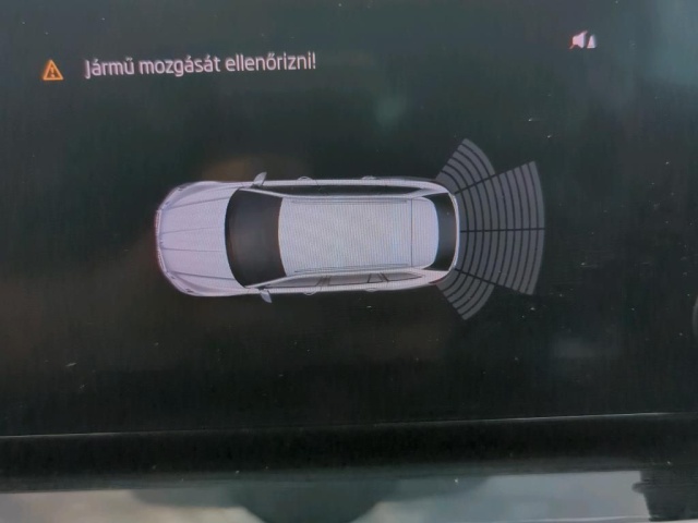 ha_23432674_10.jpg